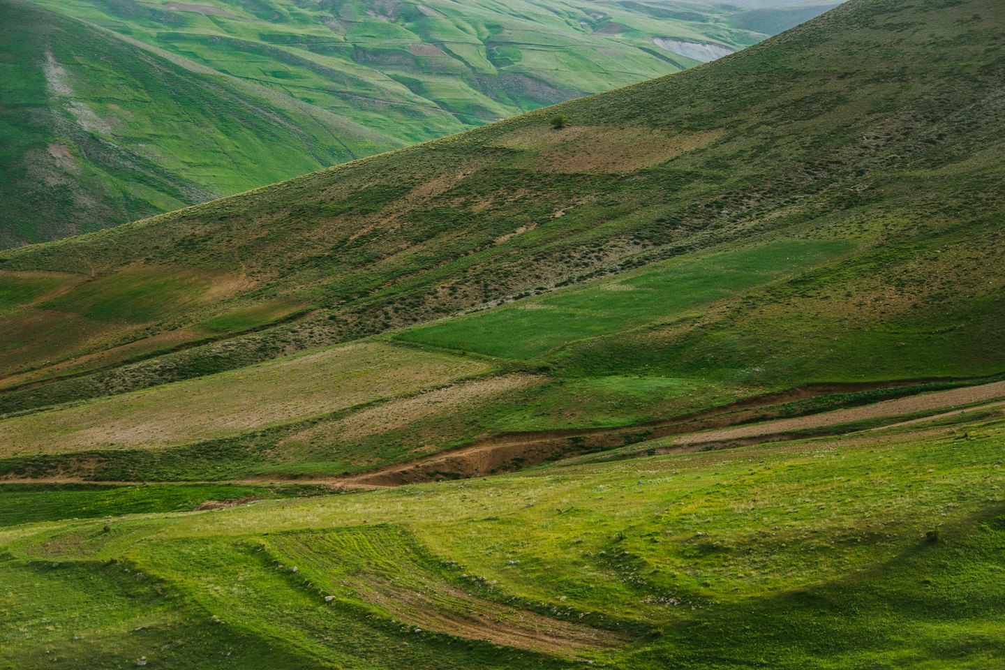 Rolling green hills feature winding paths through agricultural fields.