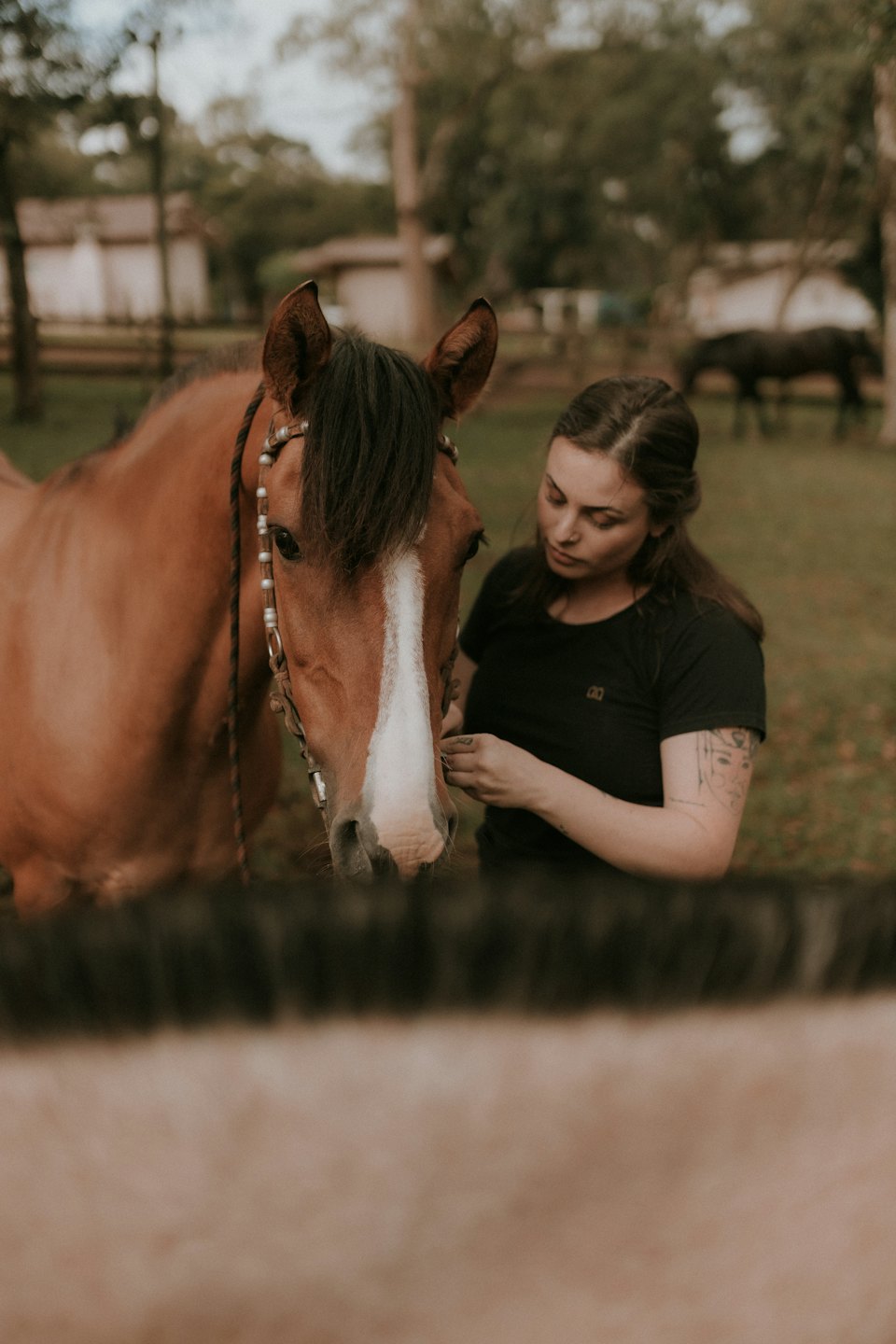 Woman touching the bridle of a chestnut horse.