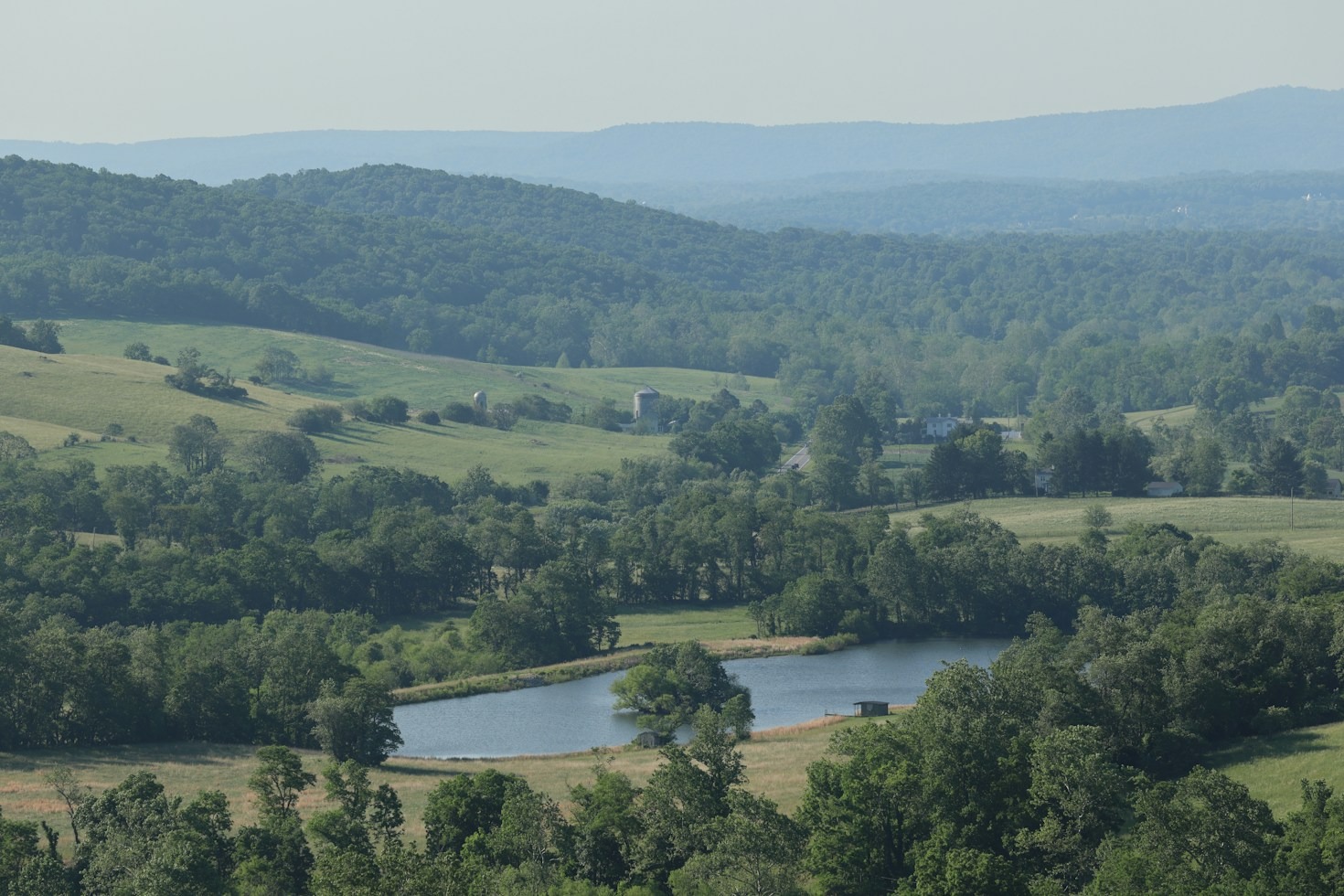 Cultivating Wholeness: Nutrition, Mental Health, and Nature