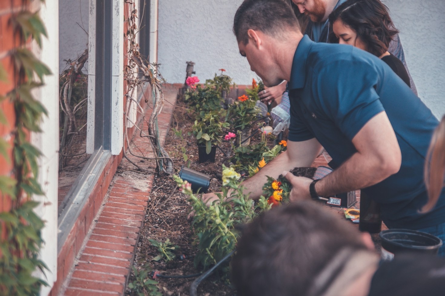 Advocating for Policies that Champion Sustainable Living